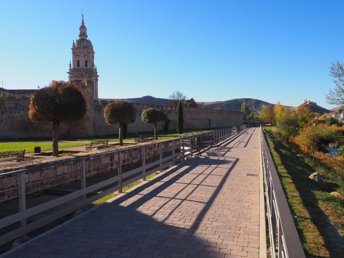 Apartamento La Casona del Zoilo -La Rasa- El Burgo De Osma Exterior foto